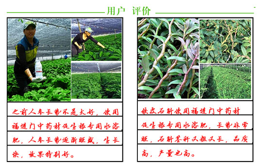 福進(jìn)門中藥材專用促生根水溶肥5