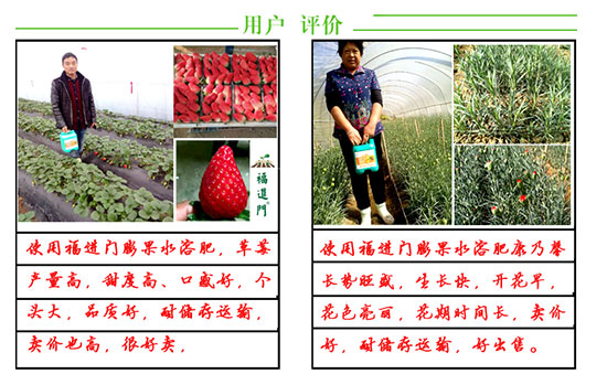 福進門膨果專用水溶肥7