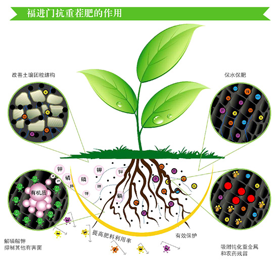 福進門抗重茬復合生物菌肥3