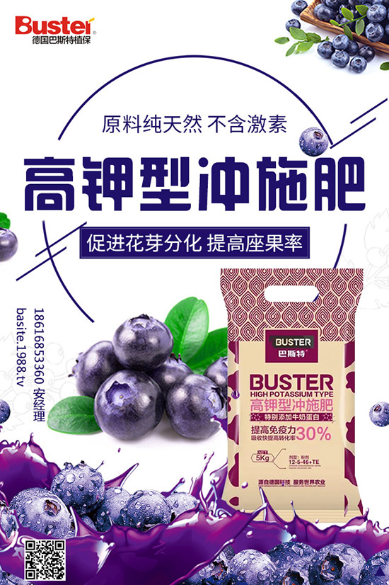 番茄灰霉病和葉霉病都有啥區(qū)別？番茄灰霉病如何防治？