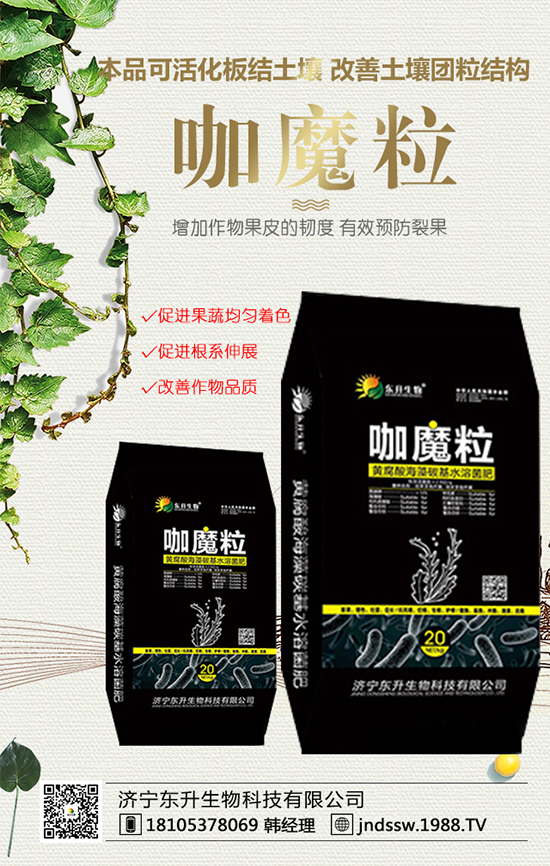 黑玉米價格多少錢一斤？2020年種植前景及效益分析！