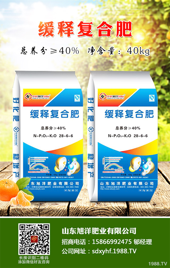 貢菊、杭白菊和胎菊有哪些不同之處？產(chǎn)地在哪？快來看看吧！