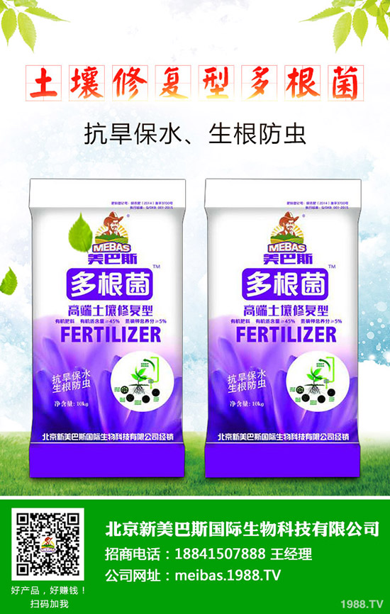 洋蔥的需肥特點有哪些？洋蔥的施肥技術(shù)是什么！