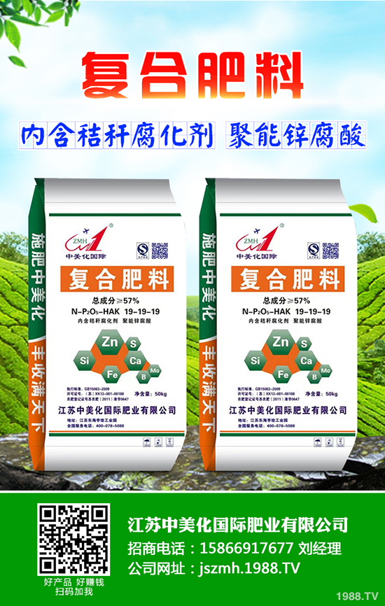 2020年茶油樹種植前景怎么樣？茶油樹種植方法有哪些