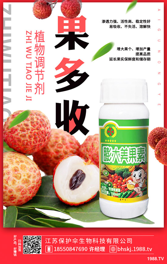 大蒜更新價(jià)格多少錢一斤？2020年大蒜種植前景如何？