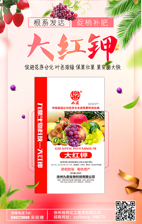 蘋果斑點落葉病啥癥狀？蘋果斑點落葉病怎么防治？