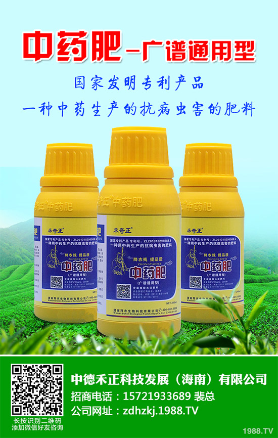 金線蓮有哪些營(yíng)養(yǎng)價(jià)值？金線蓮的功效作用及食用方法