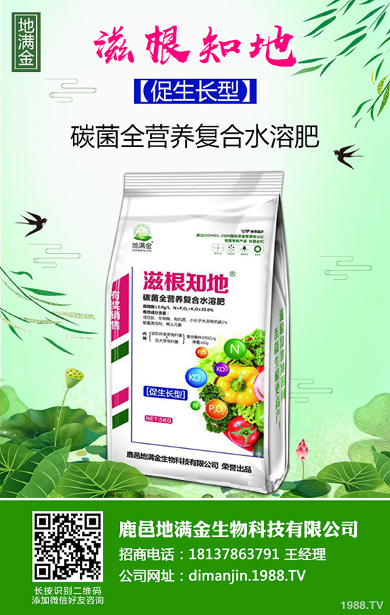     甜糯玉米什么時候種植？種植時間及種植技術(shù)和管理方法！