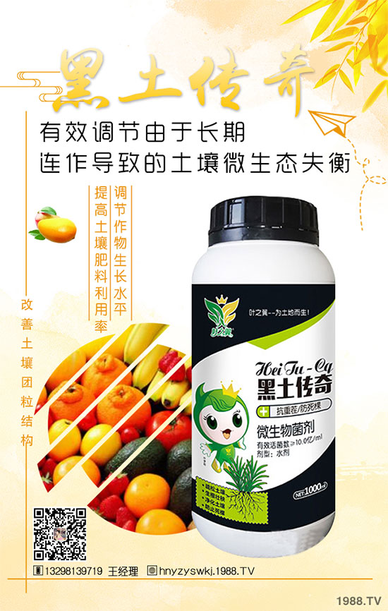 花椒樹什么季節(jié)種植？花椒樹的種植注意事項(xiàng)！