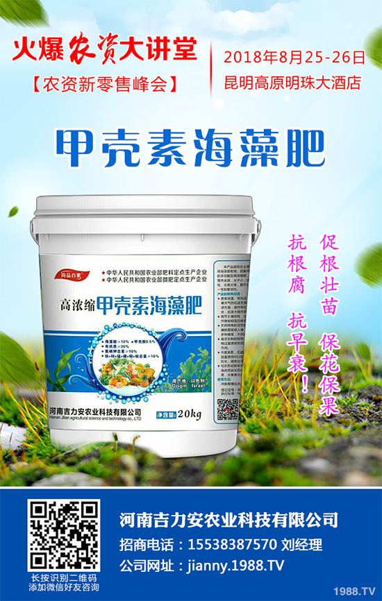 芹菜菌核病是如何發(fā)生的？芹菜菌核病的發(fā)生與防治