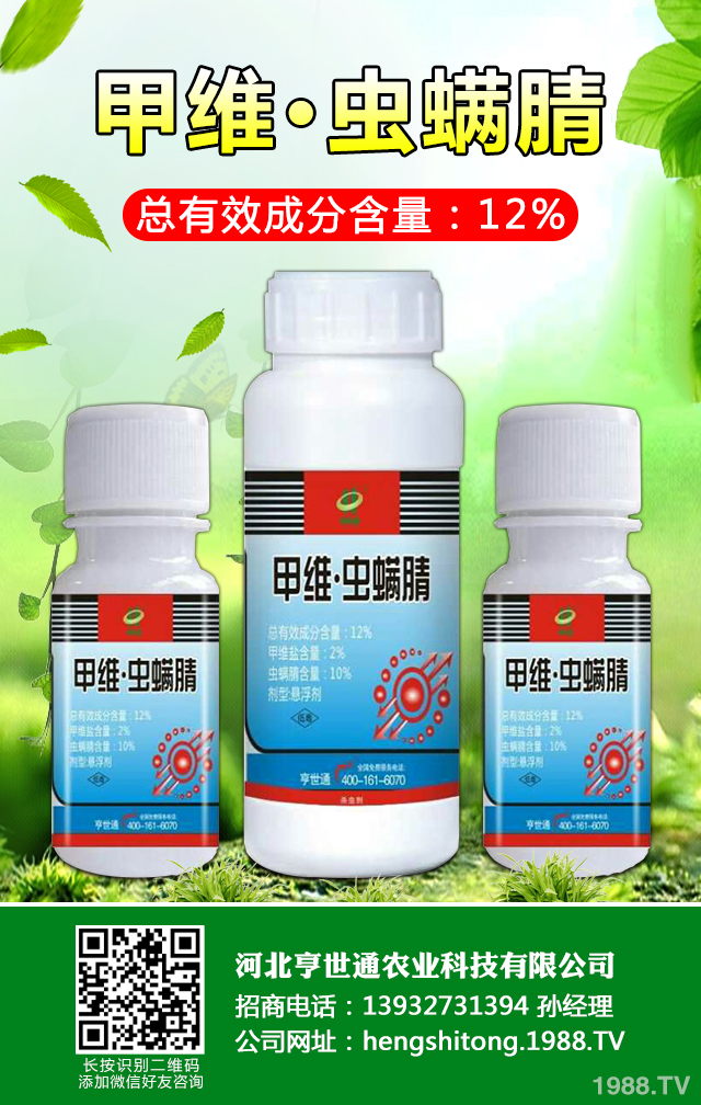 如何巧治馬鈴薯甲蟲害？馬鈴薯甲蟲害防治技巧