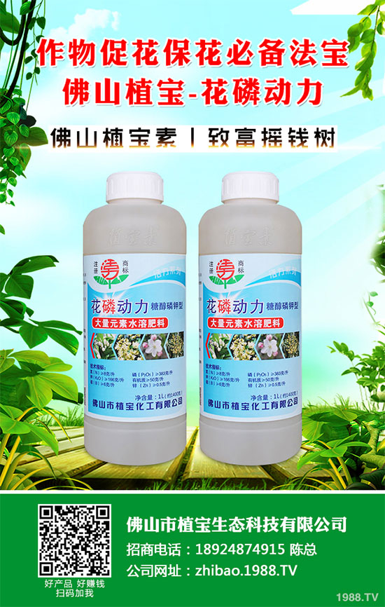 秋季大蔥什么時(shí)間種植？2019秋茬大蔥種植技術(shù)指南