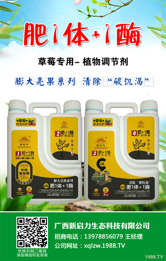 西班牙LIDA Plant Research推出防治番茄斑潛蠅有機(jī)殺蟲劑ECOTHRIN