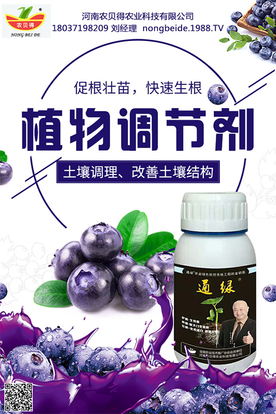 大蔥該如何育苗？育苗后大蔥管理方案