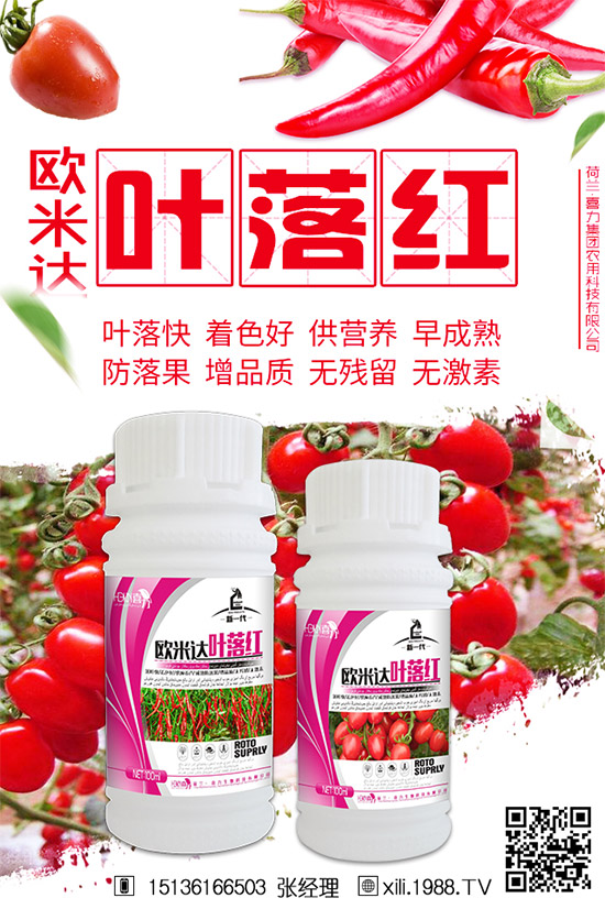 立秋后還能種植韭菜嗎？秋后韭菜管理技巧！