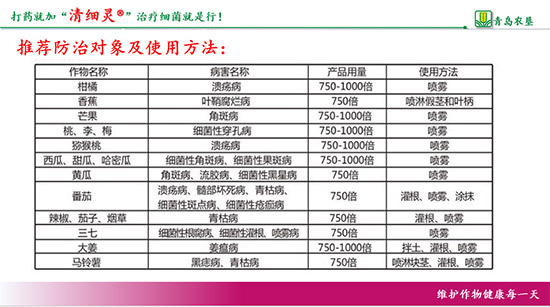     熒光假單胞桿菌-清細靈（粉劑）-農(nóng)墾