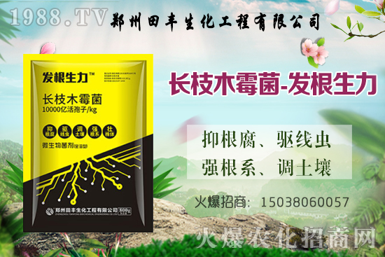 小麥漲價了！今日小麥價格穩(wěn)中偏強(qiáng)，部分地區(qū)繼續(xù)上漲！