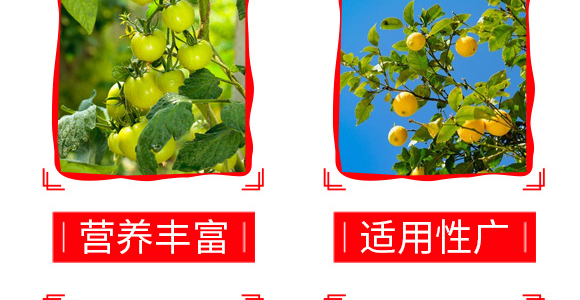 新型微生物制劑-（紅中柱?。┎葺n-中龍創(chuàng)_06