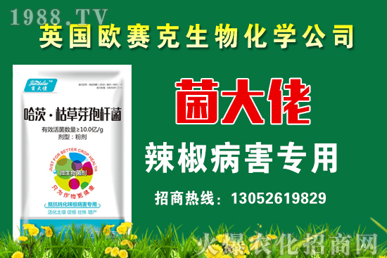 小麥生長需要澆幾次水？小麥澆水有哪些注意事項？