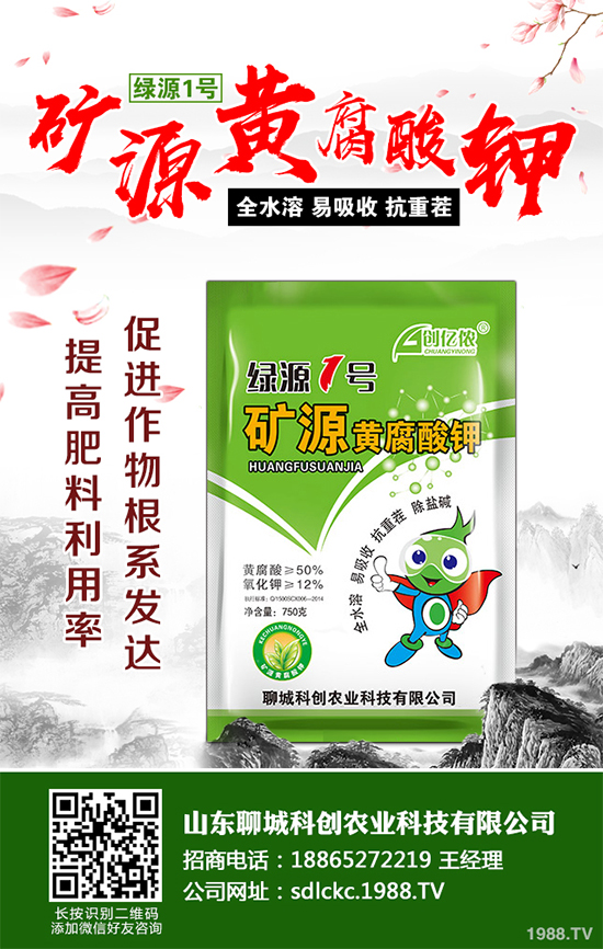 大棚番茄春季該如何澆水？大棚番茄的澆水方法(建議收藏)