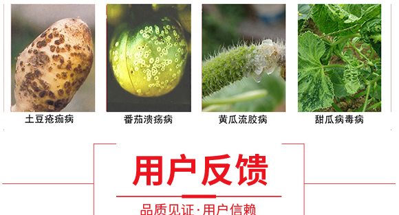 1000億枯草芽孢桿菌-妙醫(yī)-田豐生化_07