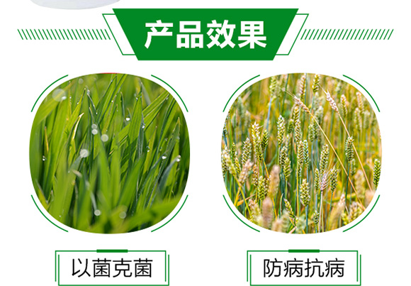 枯草芽孢桿菌-秒毒壹號-芭施綠農(nóng)業(yè)_05