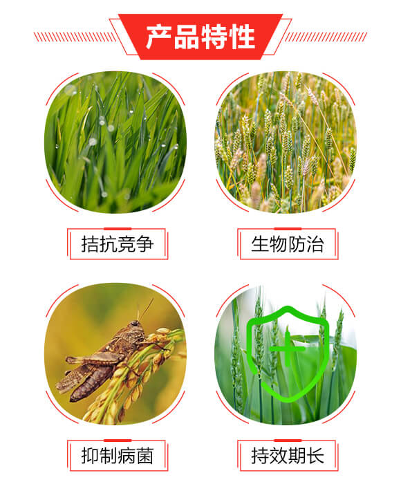 10g枯草芽孢桿菌（袋裝）-細護士-寶豐農(nóng)藥_03