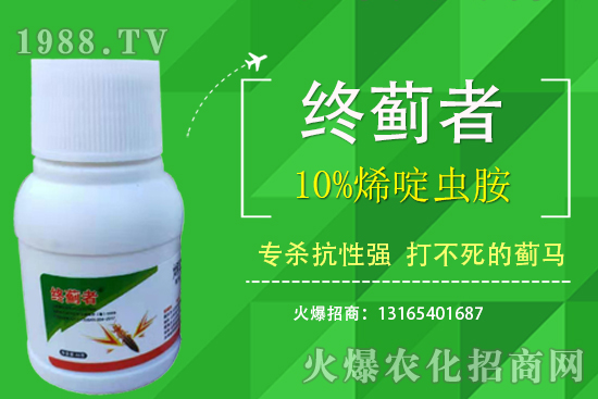 10%烯啶蟲胺能打薊馬嗎？有什么特點(diǎn)？10%烯啶蟲胺使用注意事項(xiàng)！