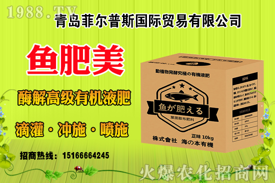 玉米結實不好啥原因？有法補救嗎？玉米結實不良改善措施！