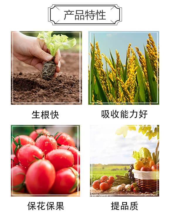 含生物菌腐植酸水溶肥-咖菲粒-科達(dá)農(nóng)化_02