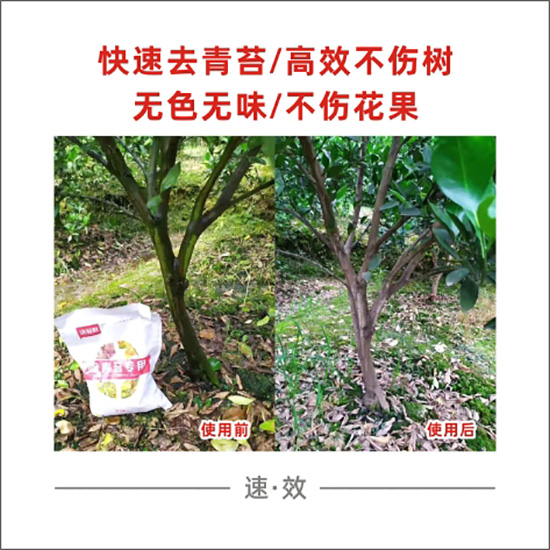 洗苔散2