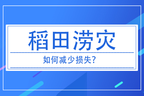 稻田澇災(zāi)發(fā)生后，如何減少損失？