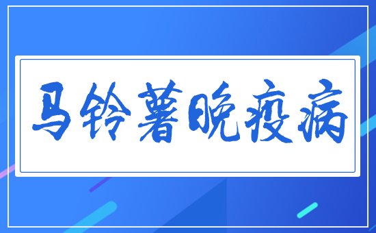 馬鈴薯晚疫病