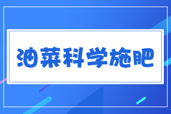 油菜科學(xué)施肥