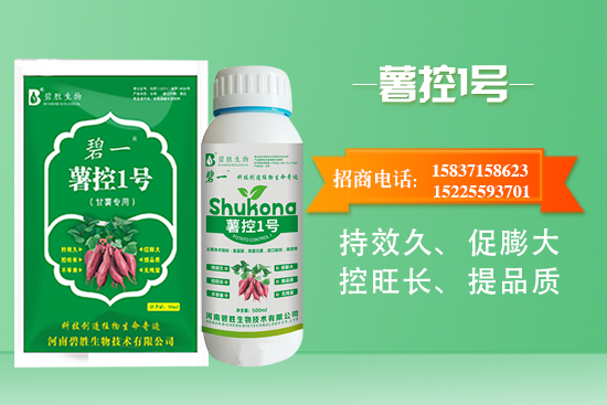 紅薯如何控旺？紅薯控旺有哪些措施？控旺產(chǎn)品怎么選？