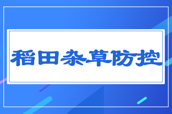 稻田雜草防控