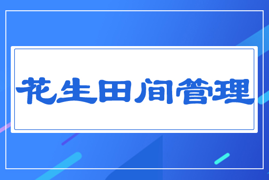 花生田間管理