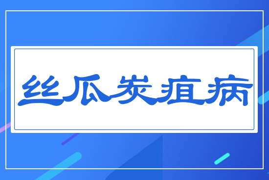 絲瓜炭疽病