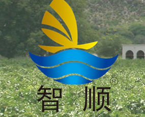 山東智順進(jìn)出口有限公司