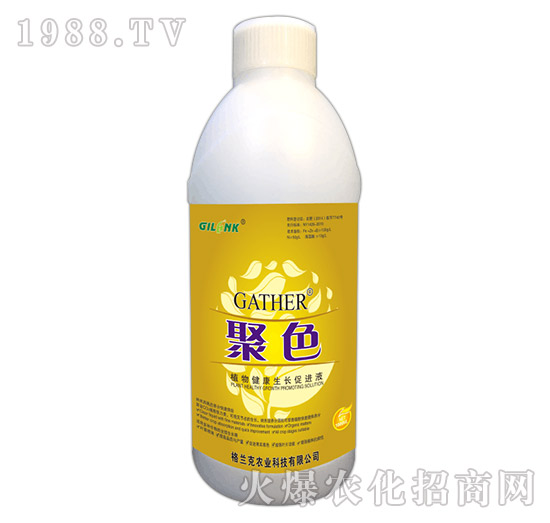 ɫ-ֲ｡L(zhng)M(jn)Һ1000ml-m