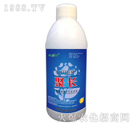 L(zhng)-ֲ｡L(zhng)M(jn)Һ1000ml-m