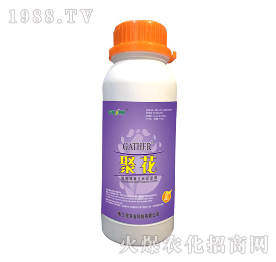 ۻ-ֲ｡LMҺ500ml-m