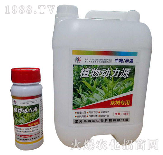 茶樹專用-植物動(dòng)力源-科瑞達(dá)