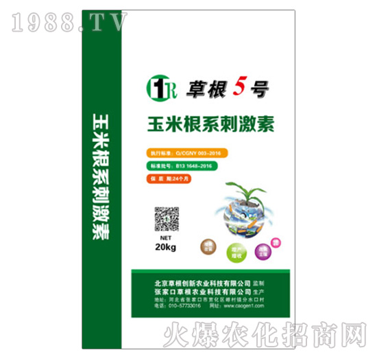 玉米根系刺激素-草根5號-草根創(chuàng)新農(nóng)業(yè)