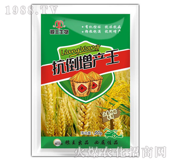 小麥水稻專用抗倒增產(chǎn)王-糧王生物