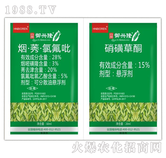 28%煙莠氯氟吡+15%硝磺草酮-百潤御興隆-百潤