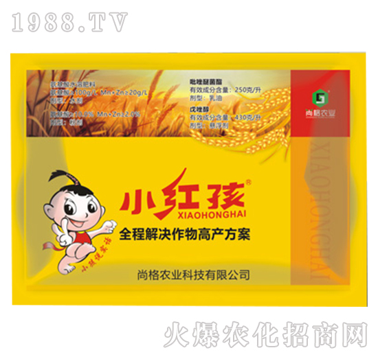 小麥專用氨基酸水溶肥料-小紅孩-尚格農(nóng)業(yè)