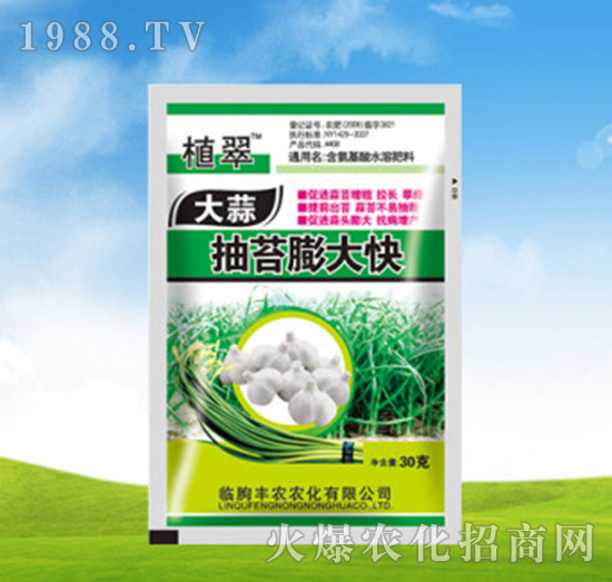 大蒜抽苔膨大快-植翠-豐農(nóng)農(nóng)化