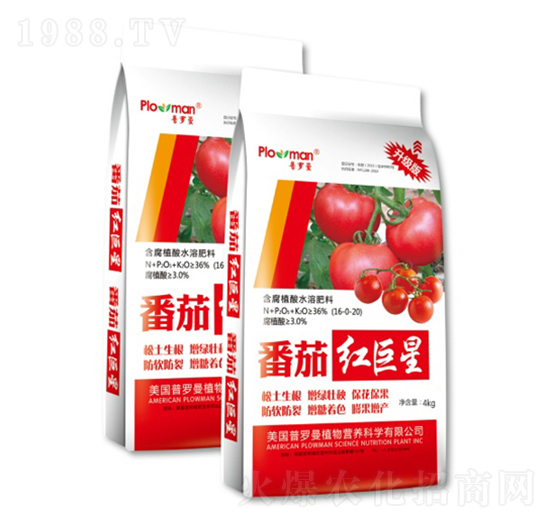 番茄紅含腐植酸水溶肥料-普羅曼-陽光肥業(yè)