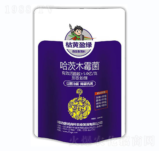 哈茨木霉菌-枯黃盈綠（袋）-盛潤高科